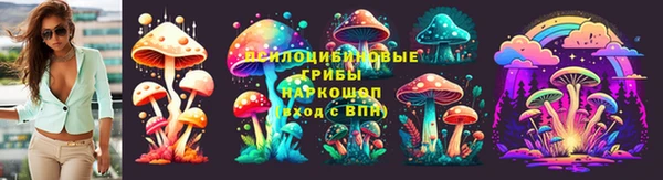 a pvp Алексин