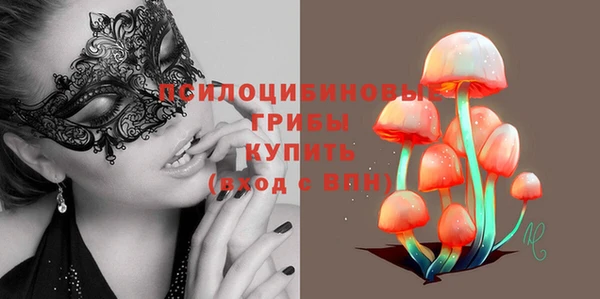 гашик Алзамай