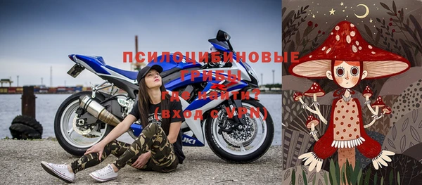 хмурый Алексеевка