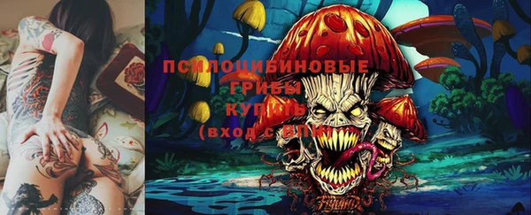 хмурый Алексеевка