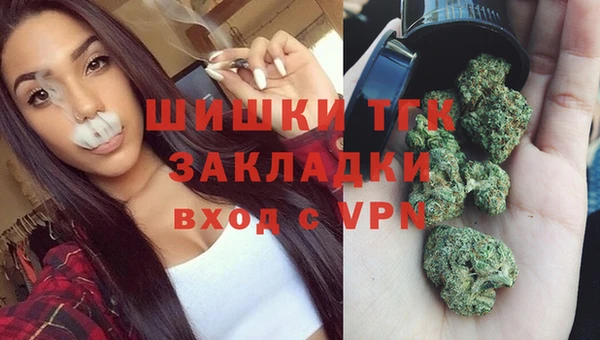 гашик Алзамай