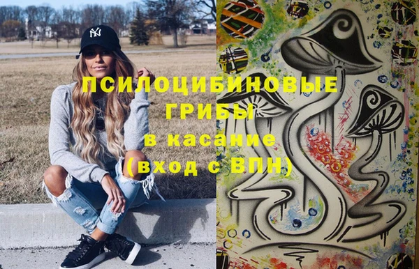 хмурый Алексеевка