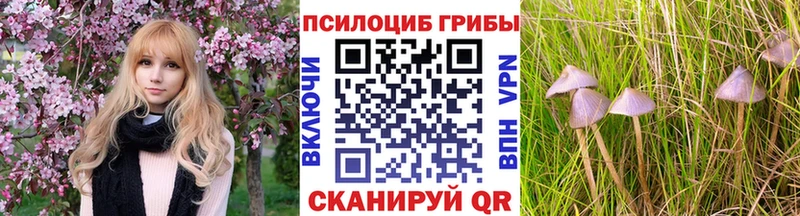 Галлюциногенные грибы Magic Shrooms  это Telegram  Навашино 